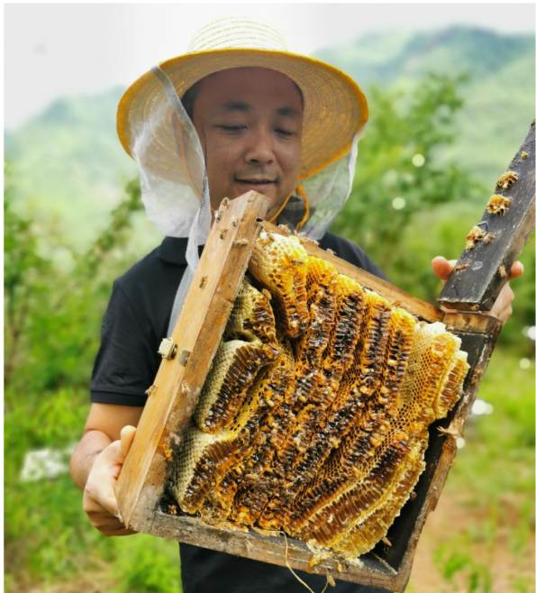 原文相关图片8