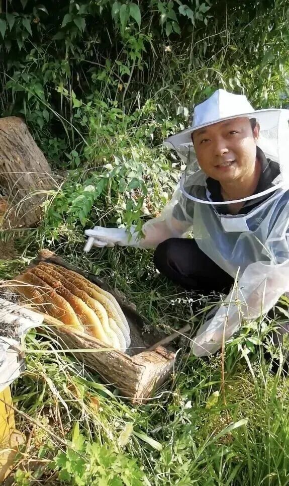 原文相关图片7